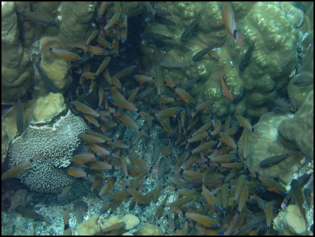 M0010118.JPG