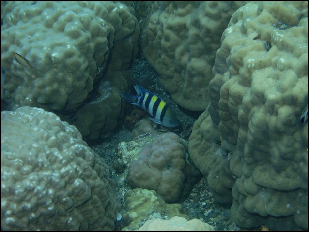 M0010123.JPG