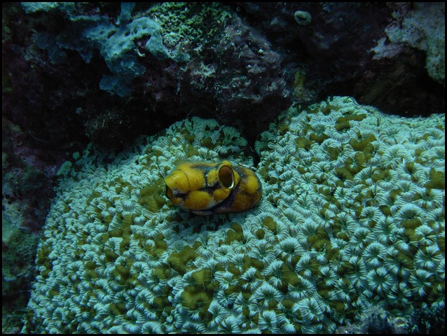 M0010145.JPG