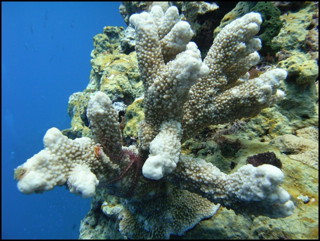M0010148.JPG