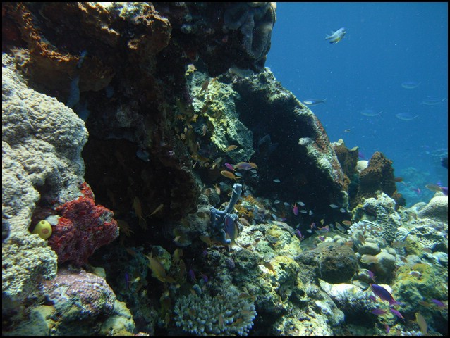M0010149.JPG