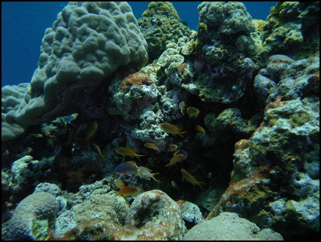 M0010162.JPG