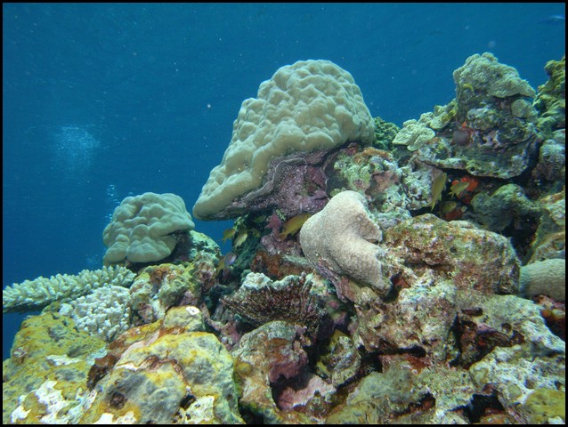 M0010163.JPG