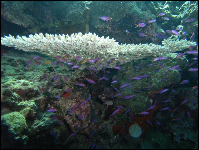 M0010179.JPG
