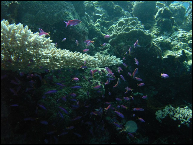 M0010180.JPG