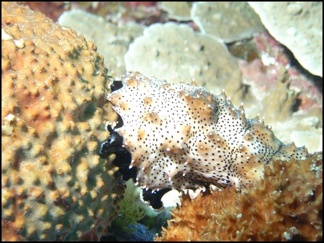 M0010195.JPG