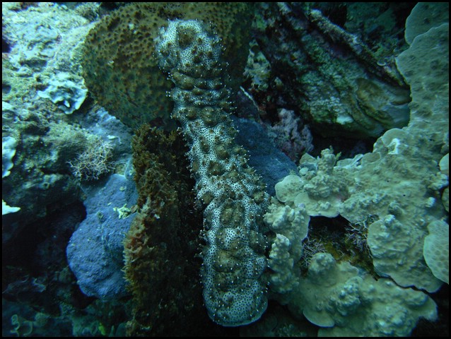 M0010199.JPG