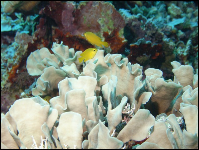 M0010229.JPG