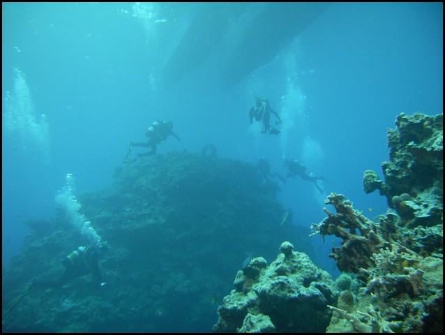 M0010230.JPG