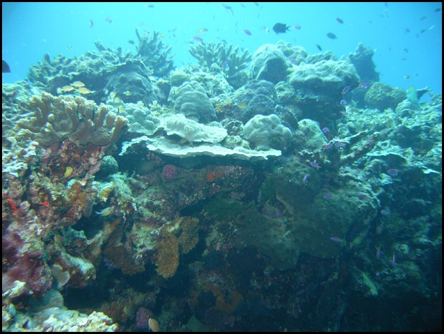 M0010231.JPG