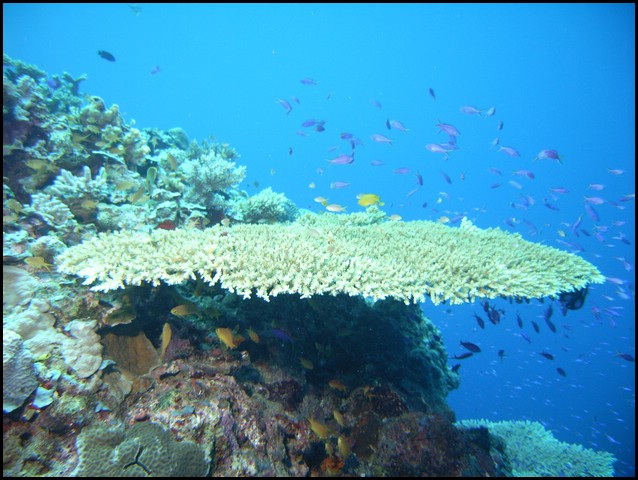 M0010237.JPG