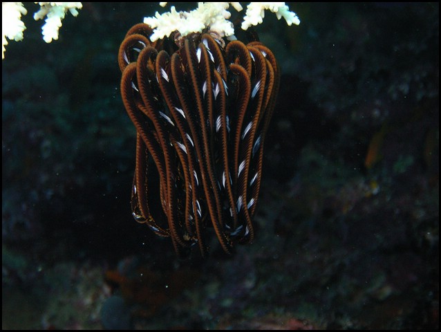 M0010243.JPG