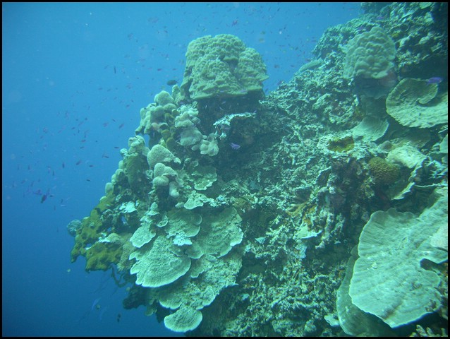 M0010249.JPG