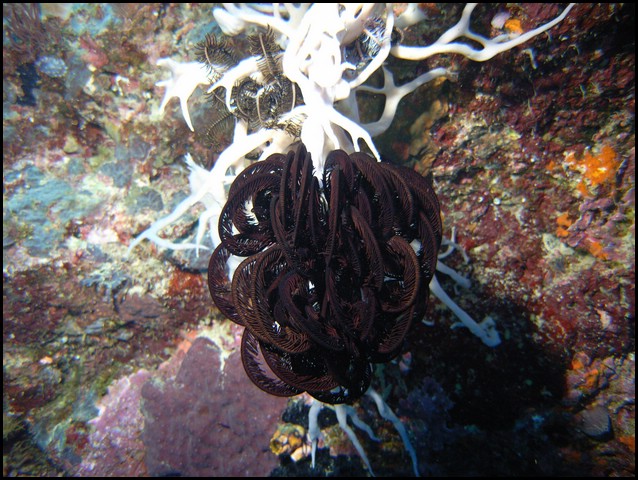 M0010250.JPG