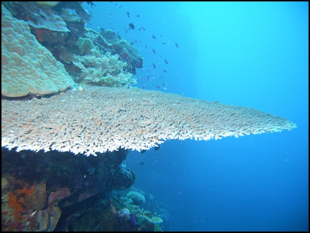 M0010253.JPG