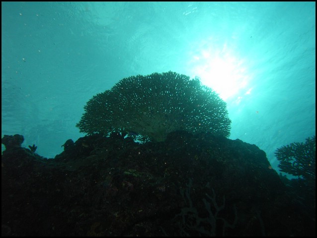 M0010259.JPG