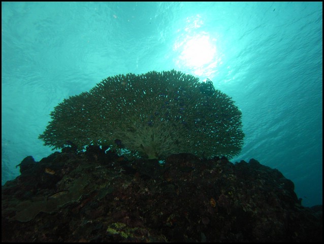 M0010260.JPG
