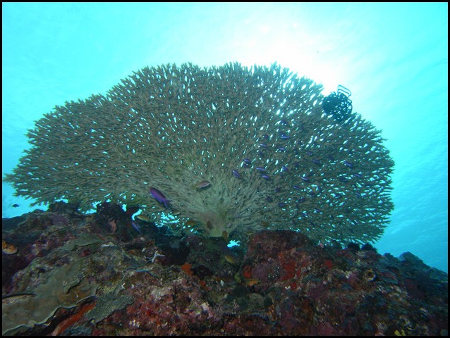 M0010261.JPG