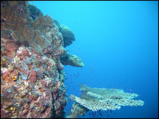 M0010268.JPG