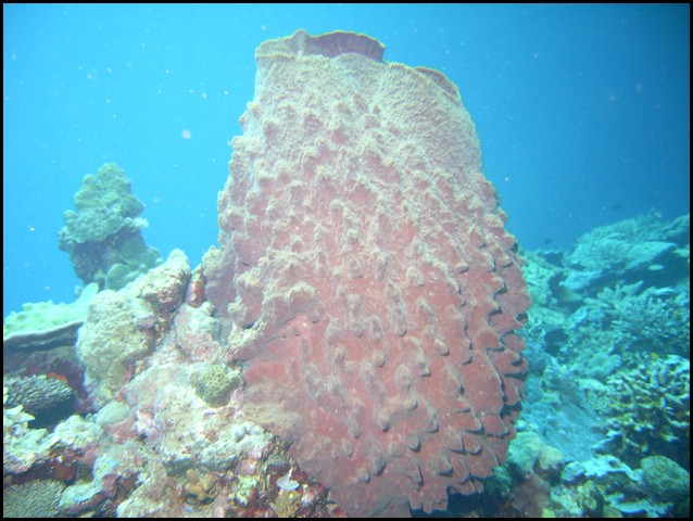 M0010287.JPG