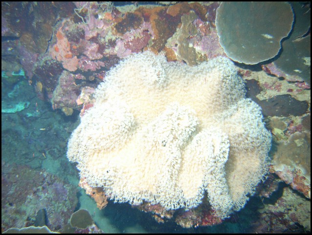 M0010293.JPG