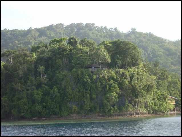 M0010343.JPG