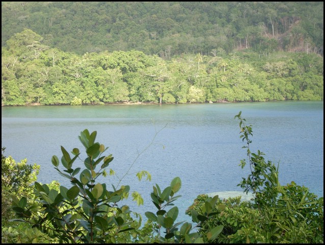 M0010347.JPG