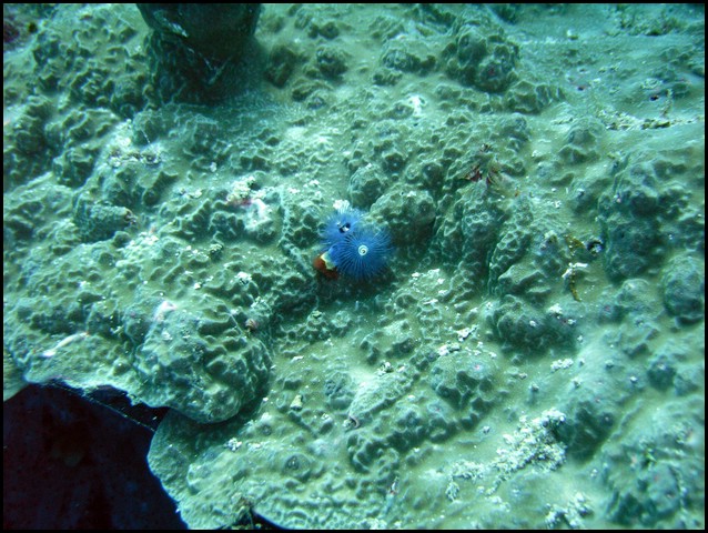M0010358.JPG