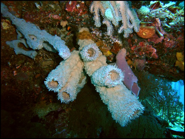M0010363.JPG