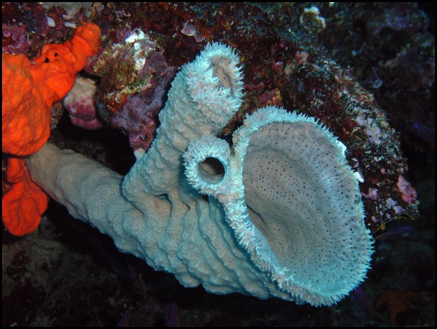 M0010364.JPG