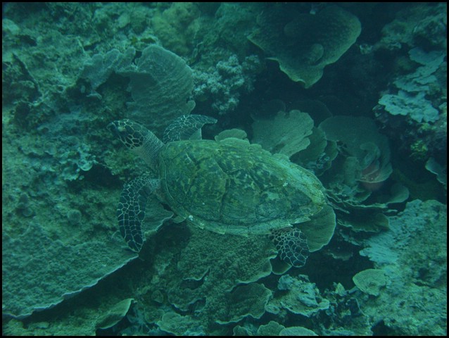 M0010379.JPG