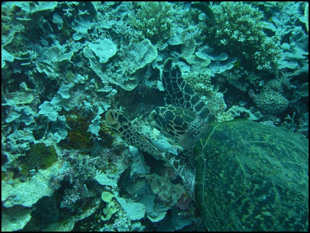 M0010381.JPG