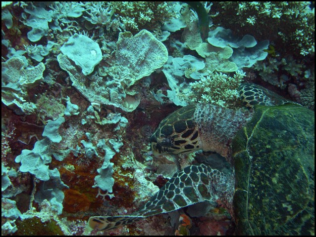 M0010383.JPG
