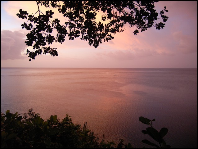 M0010409.JPG