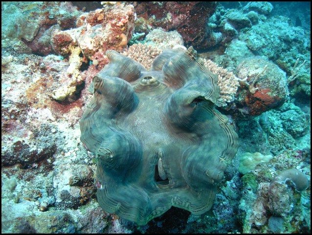M0010466.JPG