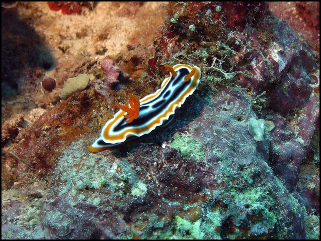 M0010468.JPG