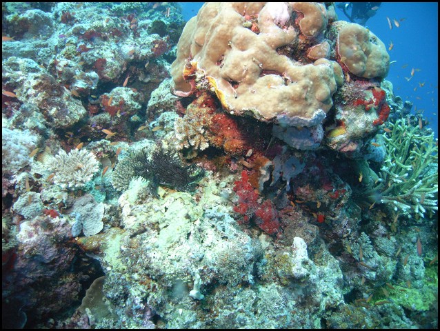 M0010478.JPG