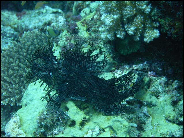 M0010480.JPG