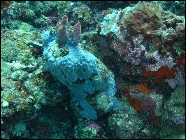 M0010485.JPG