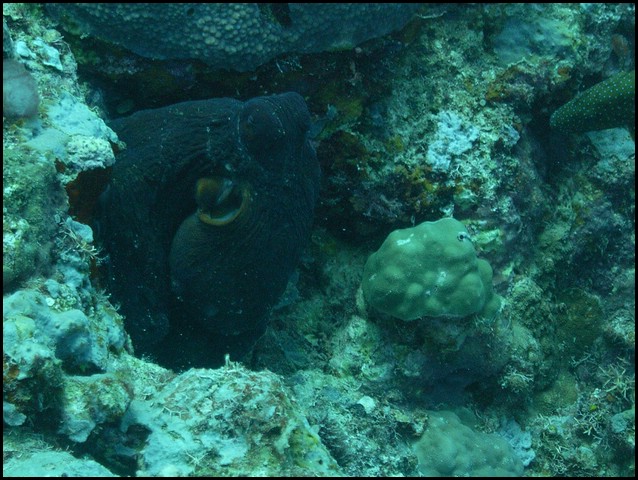 M0010495.JPG