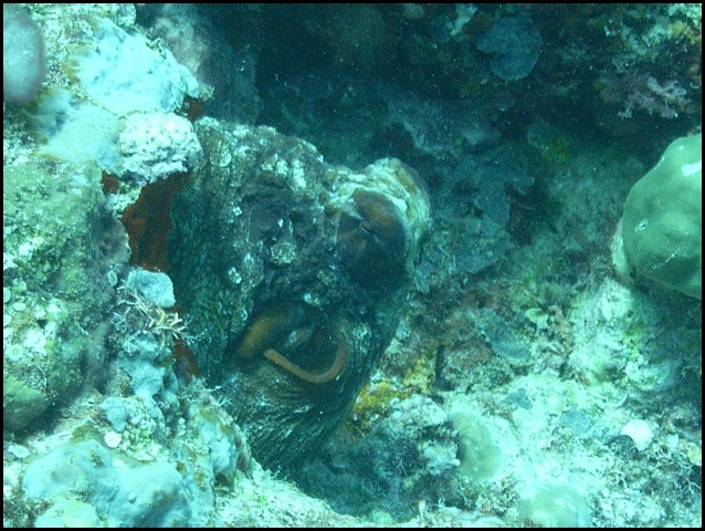 M0010496.JPG