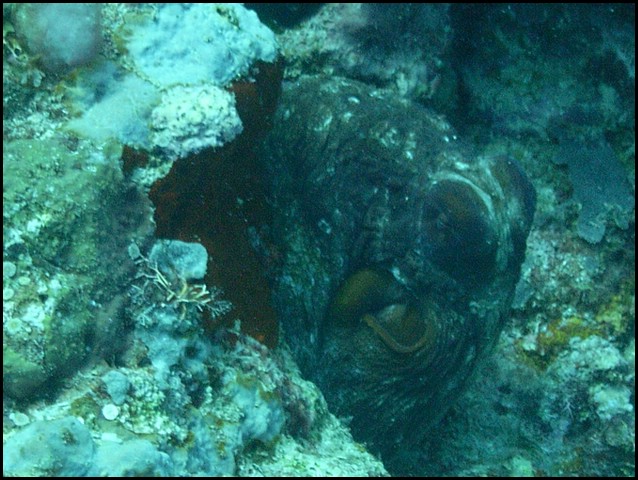 M0010497.JPG