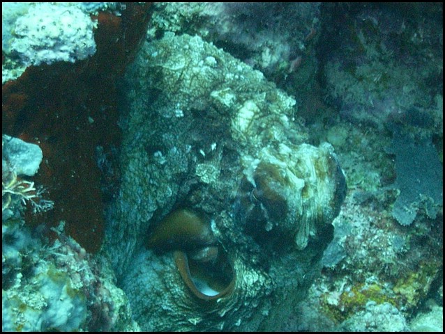 M0010498.JPG