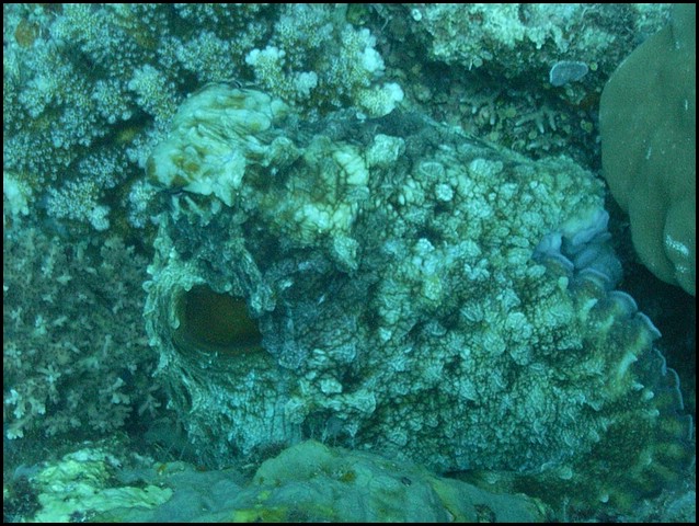 M0010501.JPG