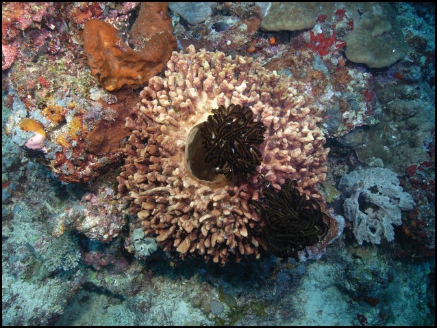 M0010505.JPG