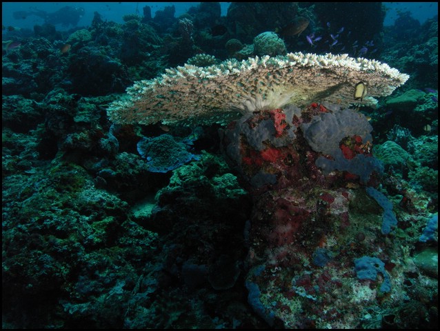 M0010511.JPG