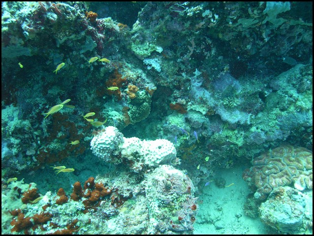 M0010521.JPG
