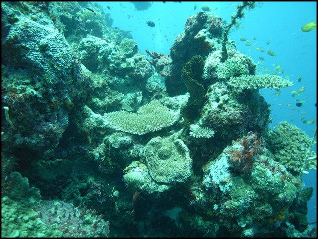 M0010522.JPG