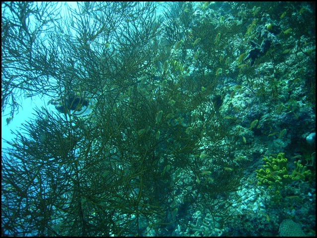 M0010532.JPG