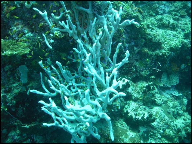 M0010533.JPG